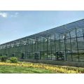 Greenhouse en verre hydroponique intelligent commercial